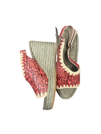 ZEPPA MOU CON CINGHIA