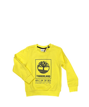 Carica l'immagine nel visualizzatore di Gallery, FELPA TIMBERLAND GIROCOLLO LOGO CENTRALE GRANDE