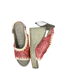 ZEPPA MOU CON CINGHIA