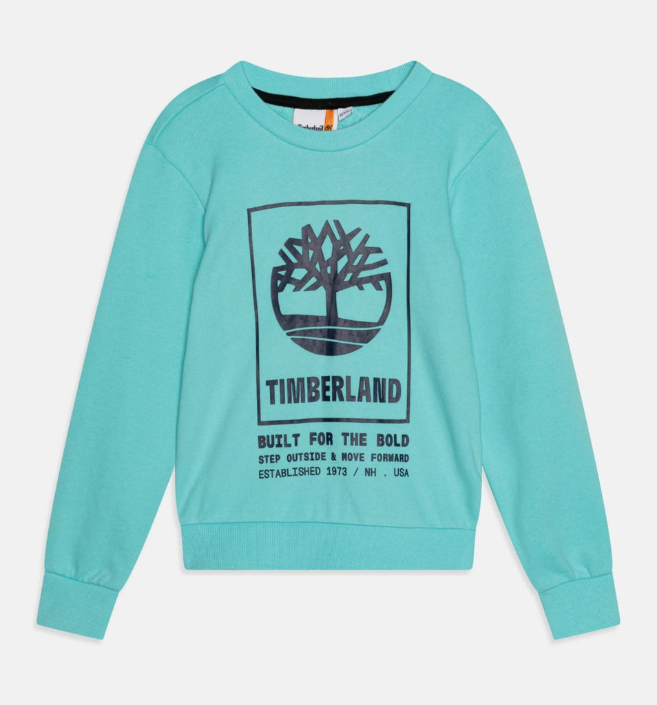 FELPA TIMBERLAND GIROCOLLO LOGO CENTRALE GRANDE
