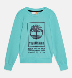 FELPA TIMBERLAND GIROCOLLO LOGO CENTRALE GRANDE