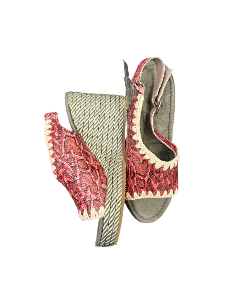 ZEPPA MOU CON CINGHIA