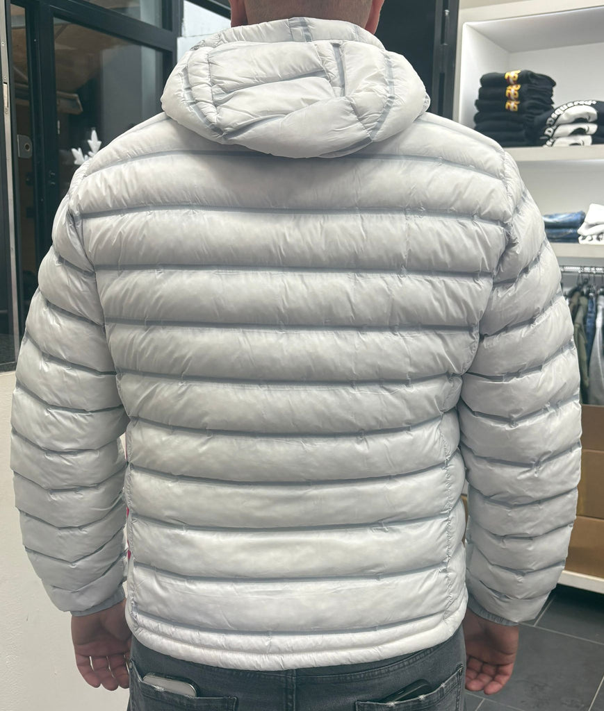 GIUBBINO BLAUER PIUMINO CON STRISCIA DIRITTA GRIGIA